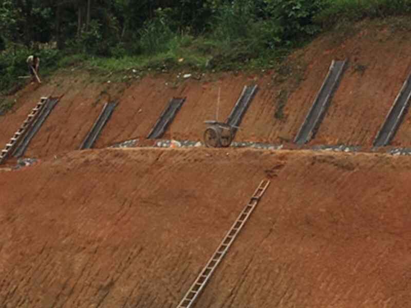 福建省绿化荒山可以喷播吗