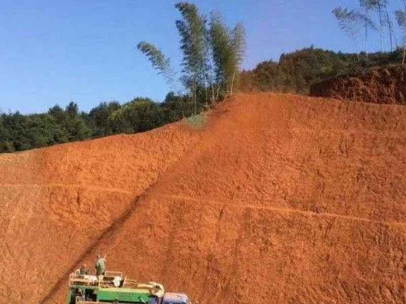 甘肃荒山想要复绿哪种植物成活率更高