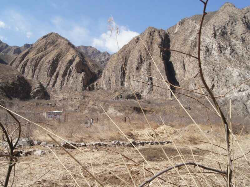 河北荒山绿化适合种植这种草类植物吗