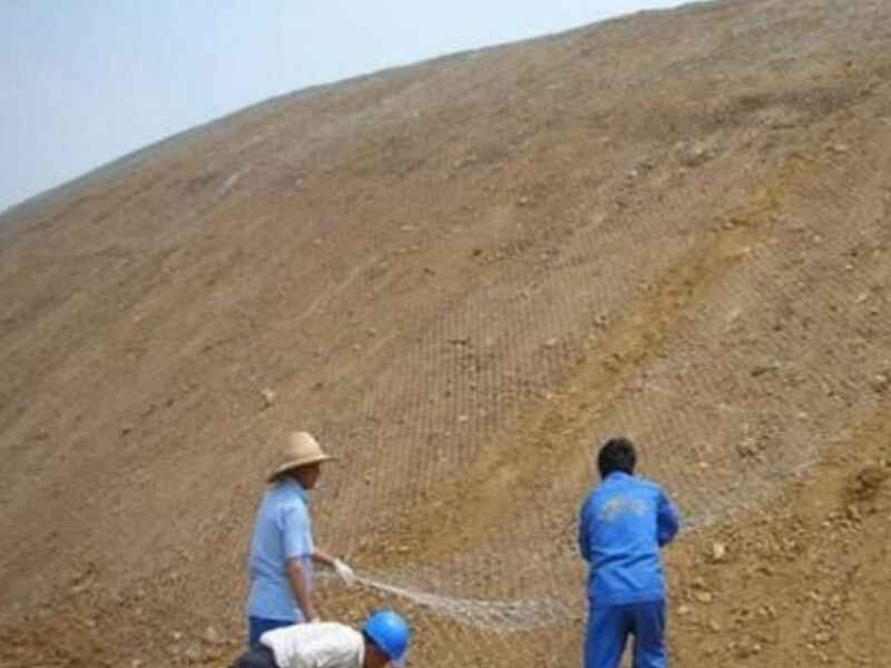 江苏省复绿荒山适合什么植物