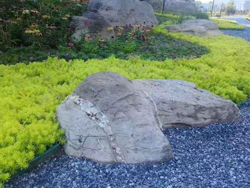 四川省屋顶绿化种植什么植物好种植效果如何