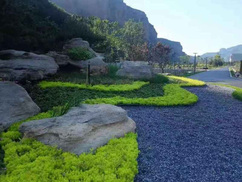 屋顶绿化适合种植什么类型的植物种植什么植物效果比较好