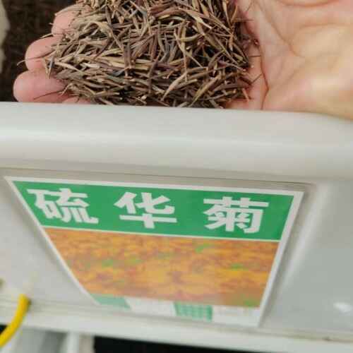 微信图片_20230530090707.jpg