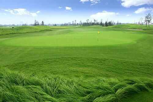 src=http___image2.sina.com.cn_ty_golf_p_2007-03-09_U2010P6T12D2790691F44DT20070309153414&refer=http___image2.sina.com